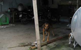 Nhân viên massage bị bóc lột dã man