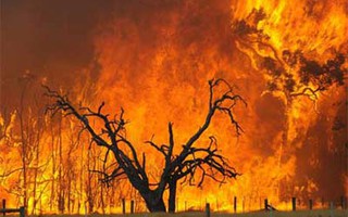 Người chết vì cháy rừng ở Australia liên tục tăng