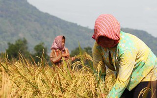 Bên trắng tay, bên lãi đậm