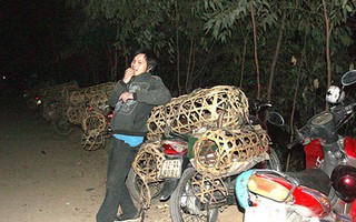 Khởi tố bị can hành hung PV Thế Dũng