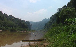 Ủng hộ phá vườn quốc gia làm thủy điện!