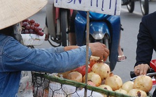 Trái cây độc vẫn tuồn vào Việt Nam