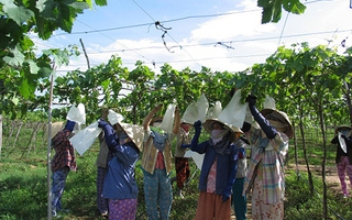 Các vụ việc liên quan đến TQ gần đây: Có ý đồ qua sự bất thường!