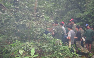 Khai quật mộ 5 phu trầm: Hung thủ ra tay tàn độc