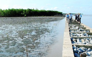 ĐBSCL càng chống càng lở: Loay hoay tìm giải pháp