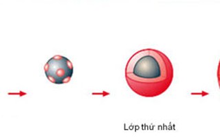 Lựa chọn thuốc khoa học và hợp lý