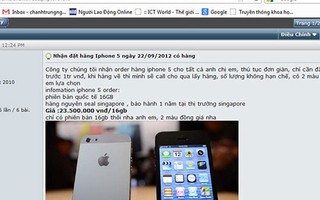 Loạn giá iPhone 5