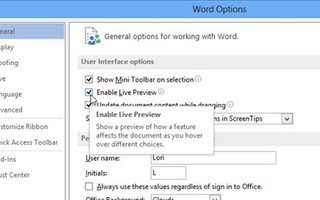 Tắt chế độ Mini Toolbar và Live Preview trong Word 2013