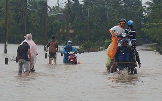 Lũ về, chạy không kịp