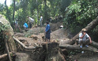 Năm người tìm trầm bị bắt cóc, bắn chết