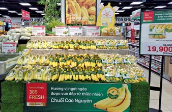 LOTTE MART cùng HAGL đưa nông sản xanh đến người tiêu dùng