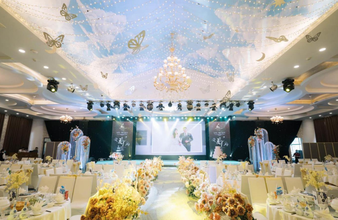 Phát Hoàng Gia AVL: Giải pháp âm thanh ánh sáng màn hình led tiệc cưới tại TPHCM