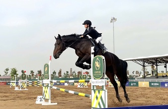 Vinpearl Equestrian Cup 2025: Bước đột phá của thể thao cưỡi ngựa Việt Nam