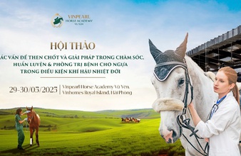 Học viện Cưỡi Ngựa Vinpearl Vũ Yên tổ chức Hội thảo chuyên sâu về ngựa