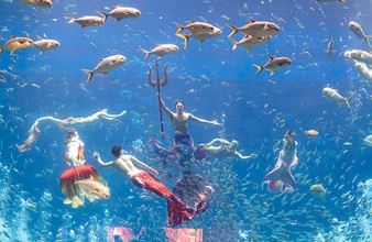 Trọn bộ trải nghiệm độc nhất biến Phú Quốc trở thành điểm đến nhất định phải thử mùa hè này