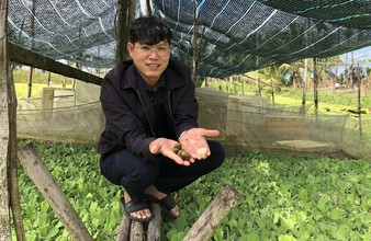 Làm giàu từ nông nghiệp sạch