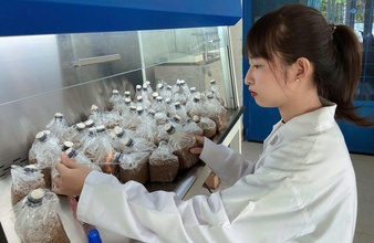 Lan tỏa tinh thần khởi nghiệp