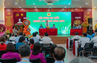 Bình Điền vượt 10.000 tỉ đồng doanh thu, khẳng định vị thế dẫn đầu ngành phân bón