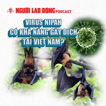 Virus Nipah có khả năng gây dịch tại Việt Nam?