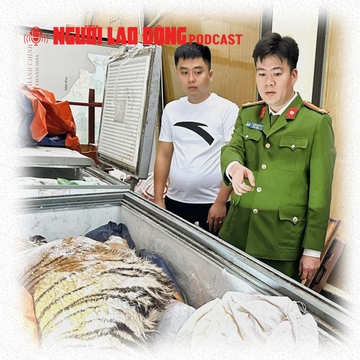 Mua hổ cấp đông giá gần 2 tỉ đồng để nấu cao