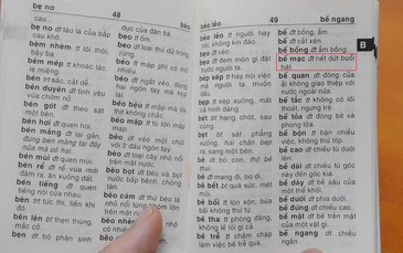 Xử lý nghiêm vụ từ điển tiếng Việt gây sốc!