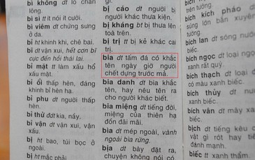 Tiêu hủy các cuốn từ điển có sai phạm của Vũ Chất