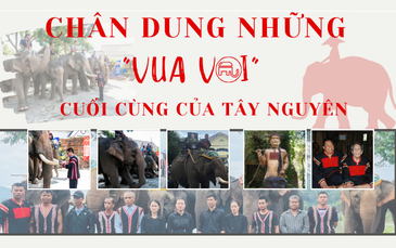 Chân dung những "vua voi" cuối cùng của Tây Nguyên