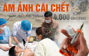 Ám ảnh cái chết gieo rắc bởi virus 4.000 năm trước
