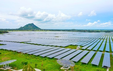 Kiến nghị khung giá trần đấu thầu riêng cho từng loại điện mặt trời