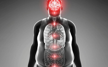 Nghiên cứu Mỹ cảnh báo các món ăn khiến bạn "đứng ngồi không yên"