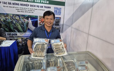 Nhiều đặc sản từ các vùng, miền hội tụ tại TP HCM