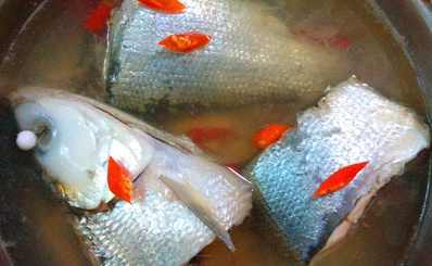 Cá măng và những món ngon từ loài cá 