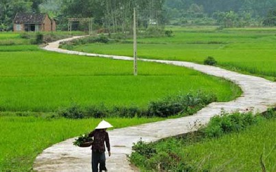 Mẹ tôi