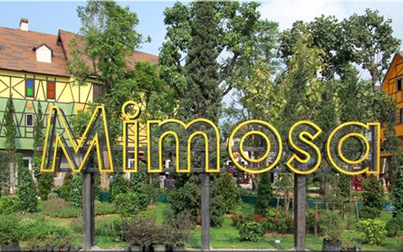 Khám phá Mimosa – thành phố của sắc màu