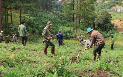 Lâm Đồng thông báo tìm người chiếm đất