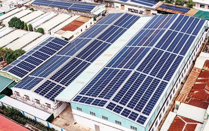 Doanh nghiệp điện mặt trời than khó vì "mỗi địa phương làm một kiểu"