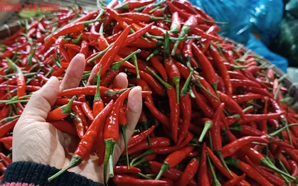 Giá ớt, hành lá vẫn tăng cao bất thường