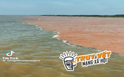 "Giải mã" hiện tượng nước có màu xanh và nâu đỏ ở ven biển Cà Mau