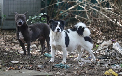 Hãy hành động ngay