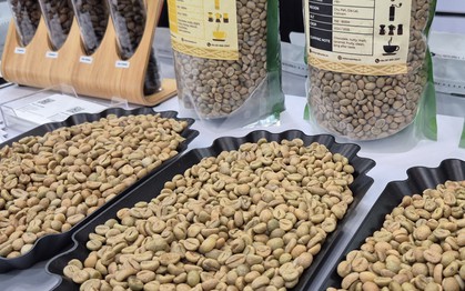 Giá cà phê hôm nay 9-12: Lao dốc tiếp