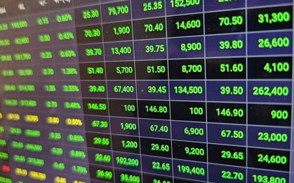 Chứng khoán tăng sốc, chuyên gia "mách nước" nhóm cổ phiếu nên có trong tài khoản