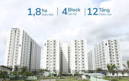 Một tập đoàn của Nhật Bản muốn xây hàng chục ngàn căn nhà giá rẻ tại Việt Nam