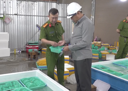 CLIP: Cận cảnh xử lý "kho" tôm hùm giống nhập lậu ở Khánh Hòa