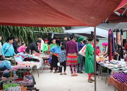 Local Vietnam khai trương Ha Giang Aya Lodge tại Bản Sủng Trái 