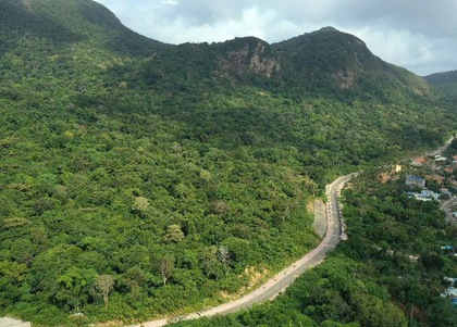 Vụ 42 cây mai vàng: Chỉ đạo mới nhất từ Vườn quốc gia Côn Đảo