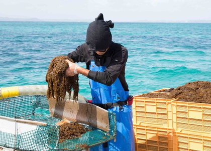 Giải pháp chăm sóc sức khỏe tự nhiên được nhiều người tin chọn