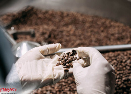 MaYaCa xây dựng nhà máy cà phê đạt chuẩn ISO 22000:2018 ở Đà Nẵng