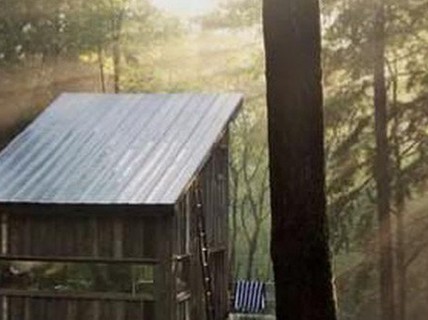 Bị hình ảnh vợ ngoại tình hành hạ đến... mụ người!