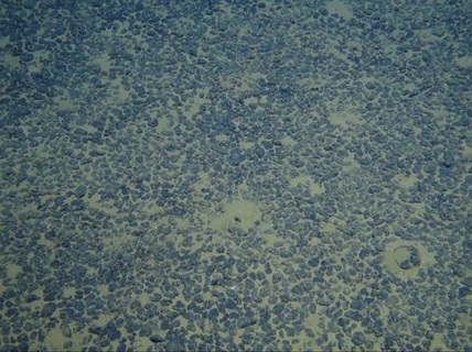 Tại sao Mỹ bỏ qua kho báu 16.000 tỉ USD dưới đáy Thái Bình Dương?