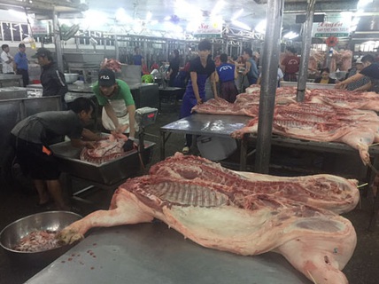 Giá thịt heo giảm, nhiều trại bán heo quá lứa